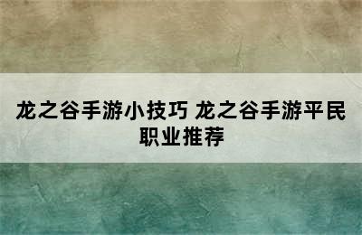 龙之谷手游小技巧 龙之谷手游平民职业推荐